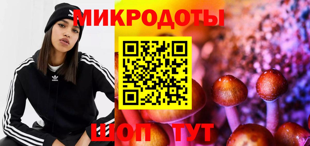 Россия  Галлюциногенные грибы Psilocybine cubensis  Вход с VPN 