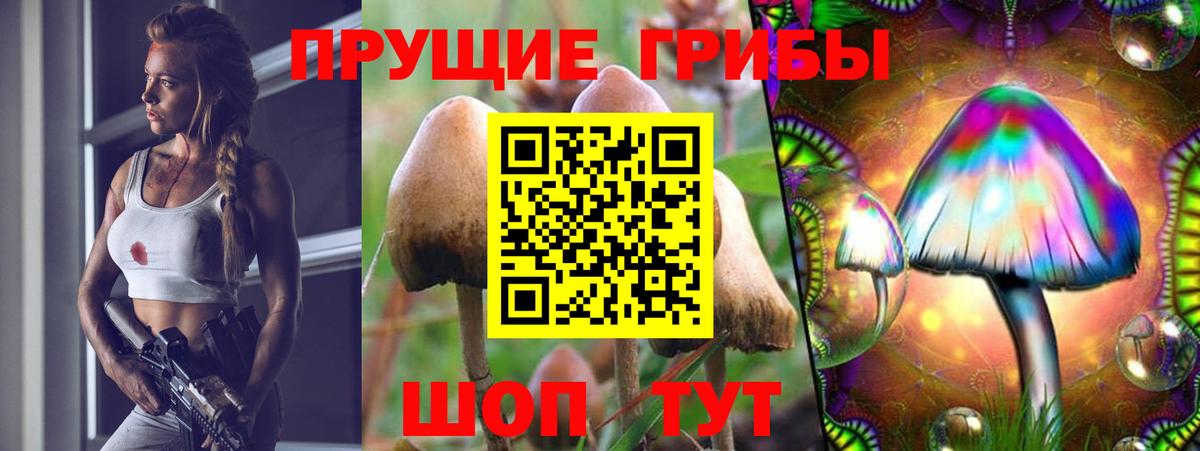Галлюциногенные грибы мицелий Россия